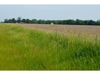 Property photo 62 - FARM & LAND AUCTION - 125+/- ACRES OFFERED IN 5 TRACTS IN EAST ALLEN COUNTY, INDIANA